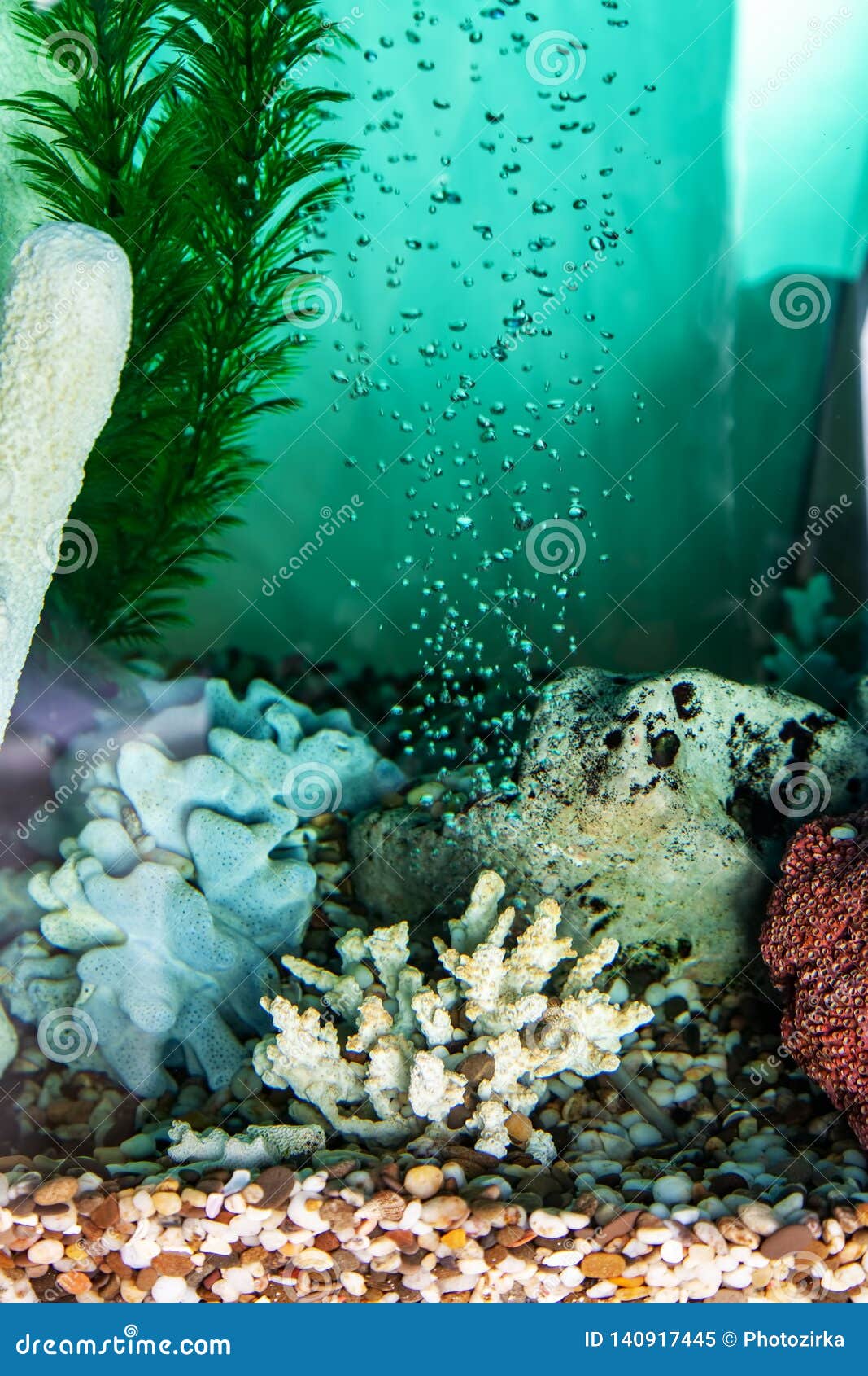 Aquarium Aeration Decoration Stock Photos Free & RoyaltyFree Stock