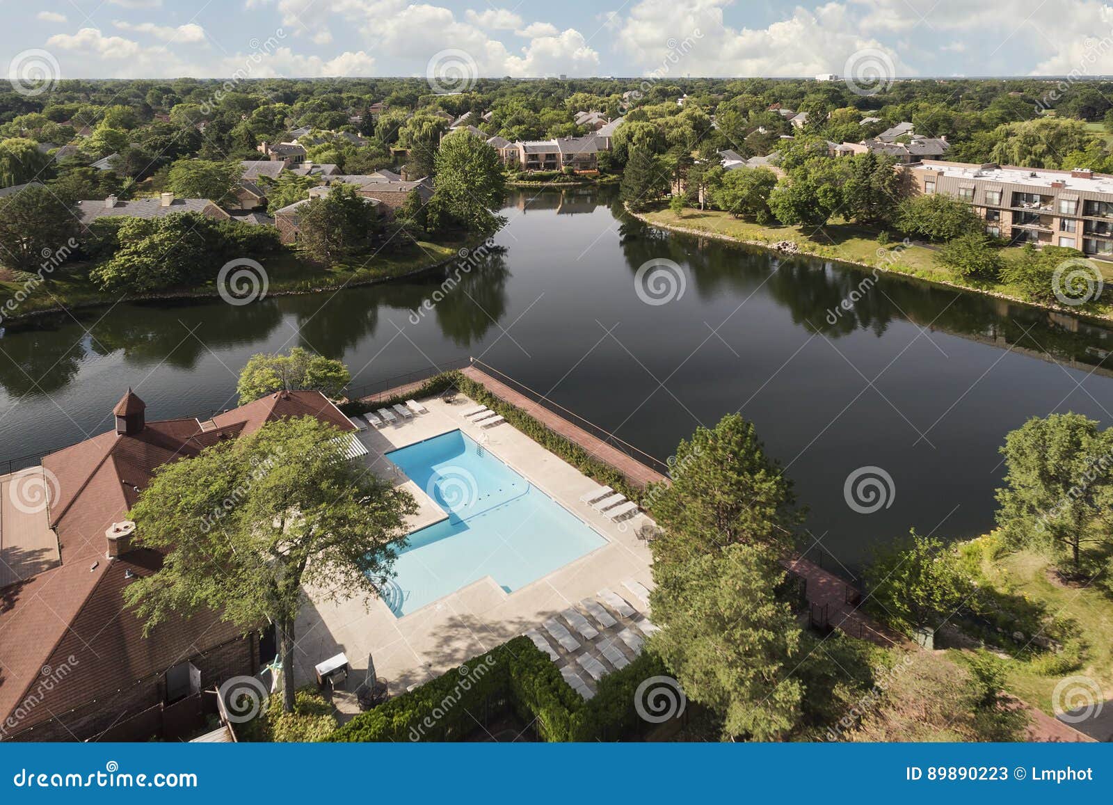 Aerial of Ancient Tree in Northbrook, IL Stock Image Image of aerial