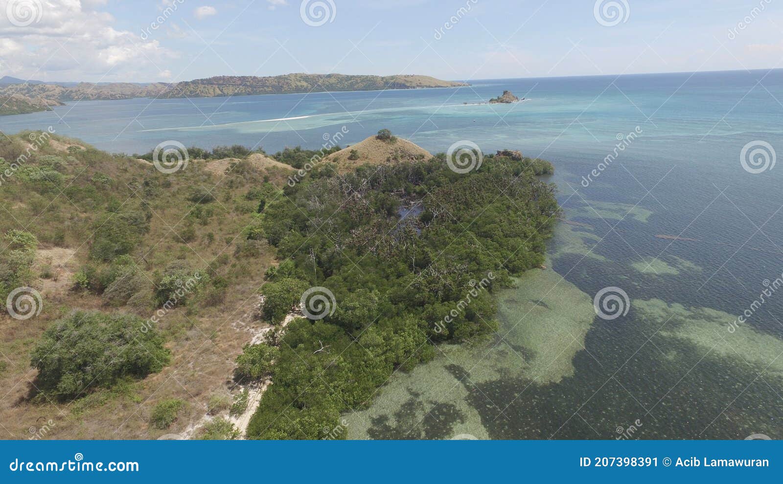 aerial drone shoot of mangrove habitat where bats live in riung
