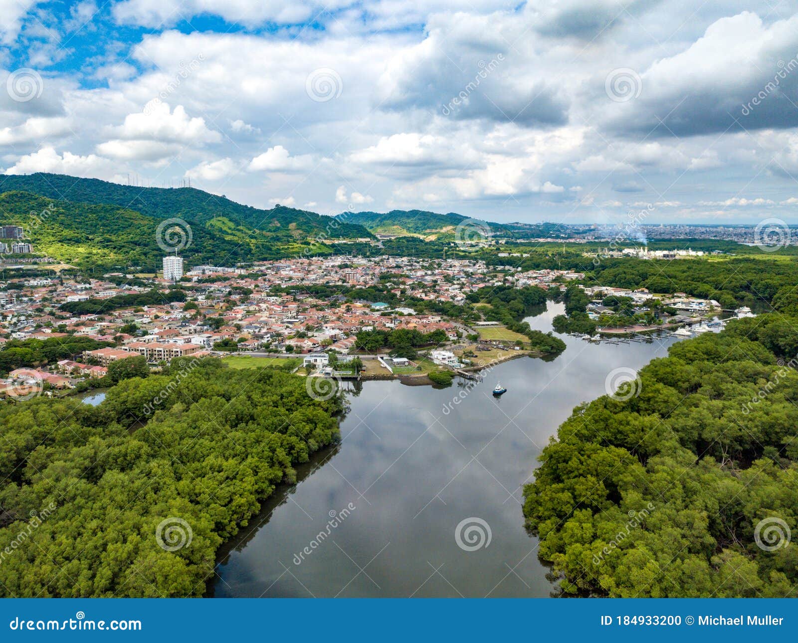aerial drone shot of river, heavy density mangrove and gated community