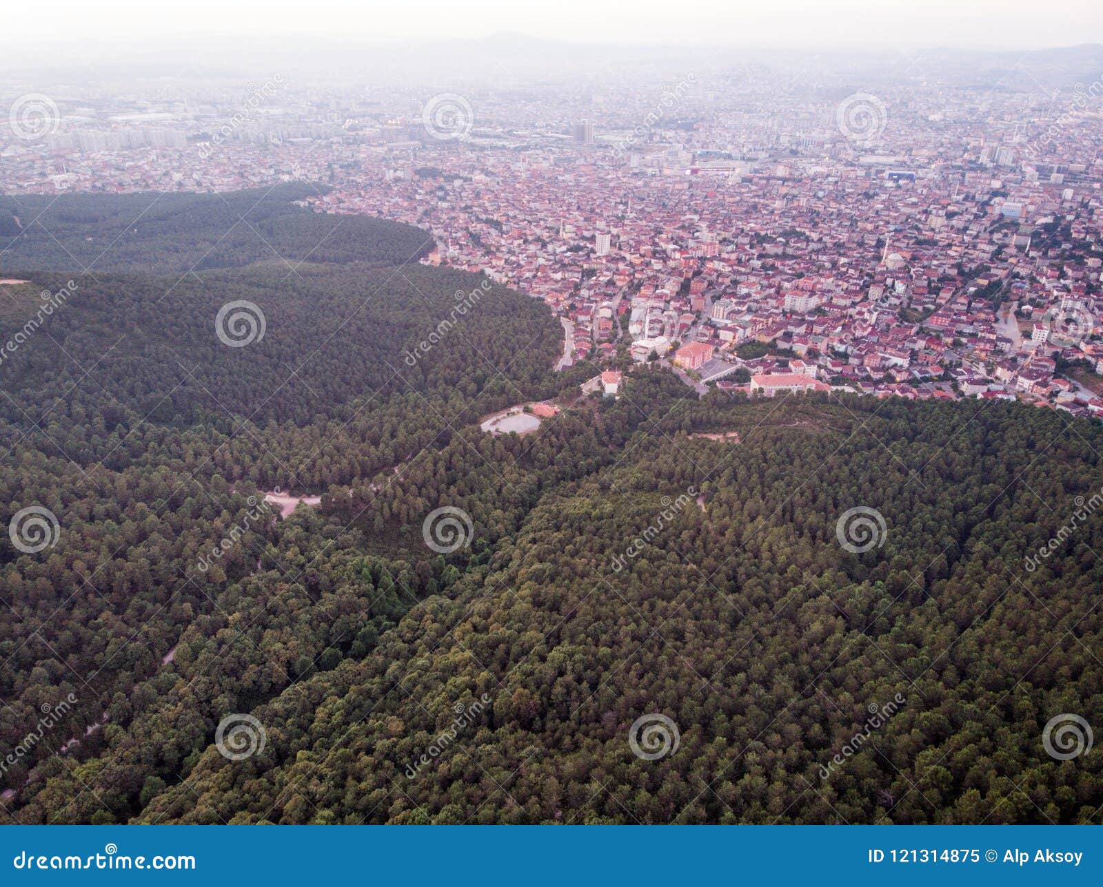 aerial drone view of istanbul sultanbeyli region / forest and city