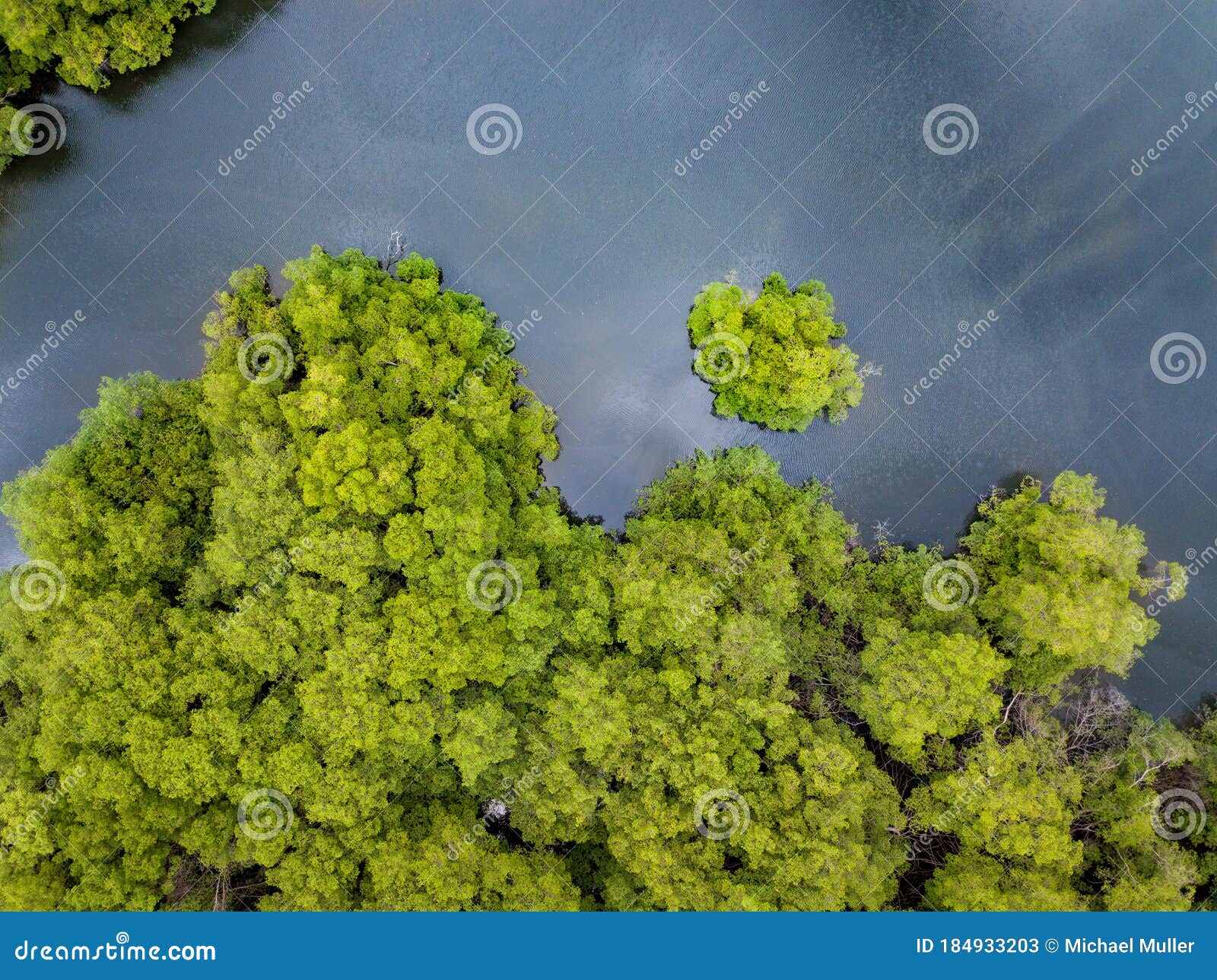 aerial drone view of river and heavy density mangrove and river