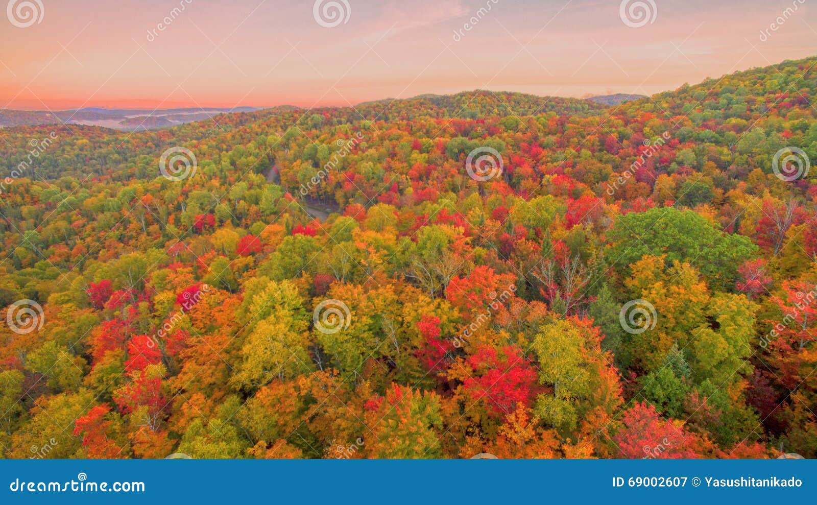 aerial fall color