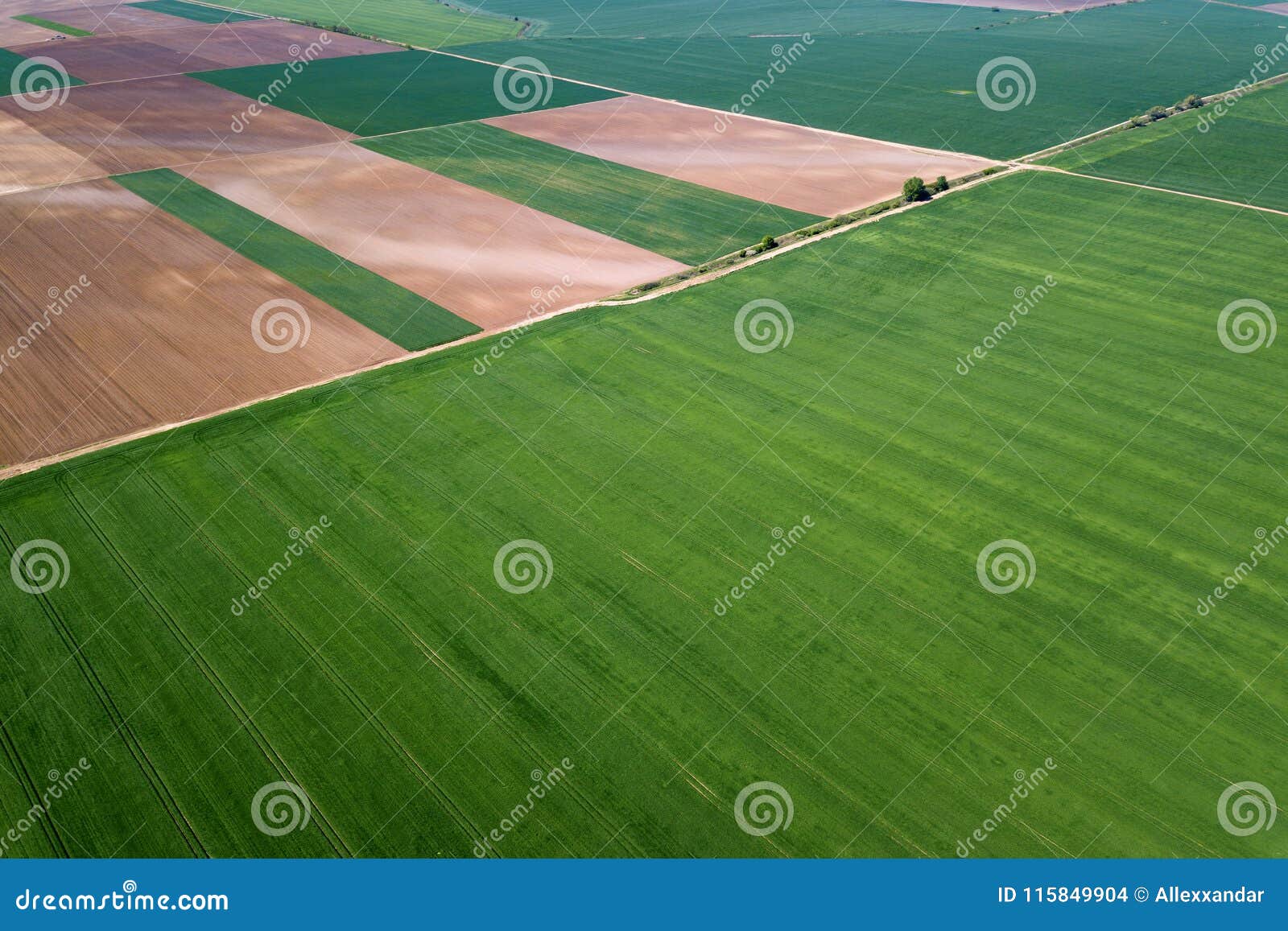 Aerial Green Wheat Field. Aerial View Large Green Field Stock Photo ...
