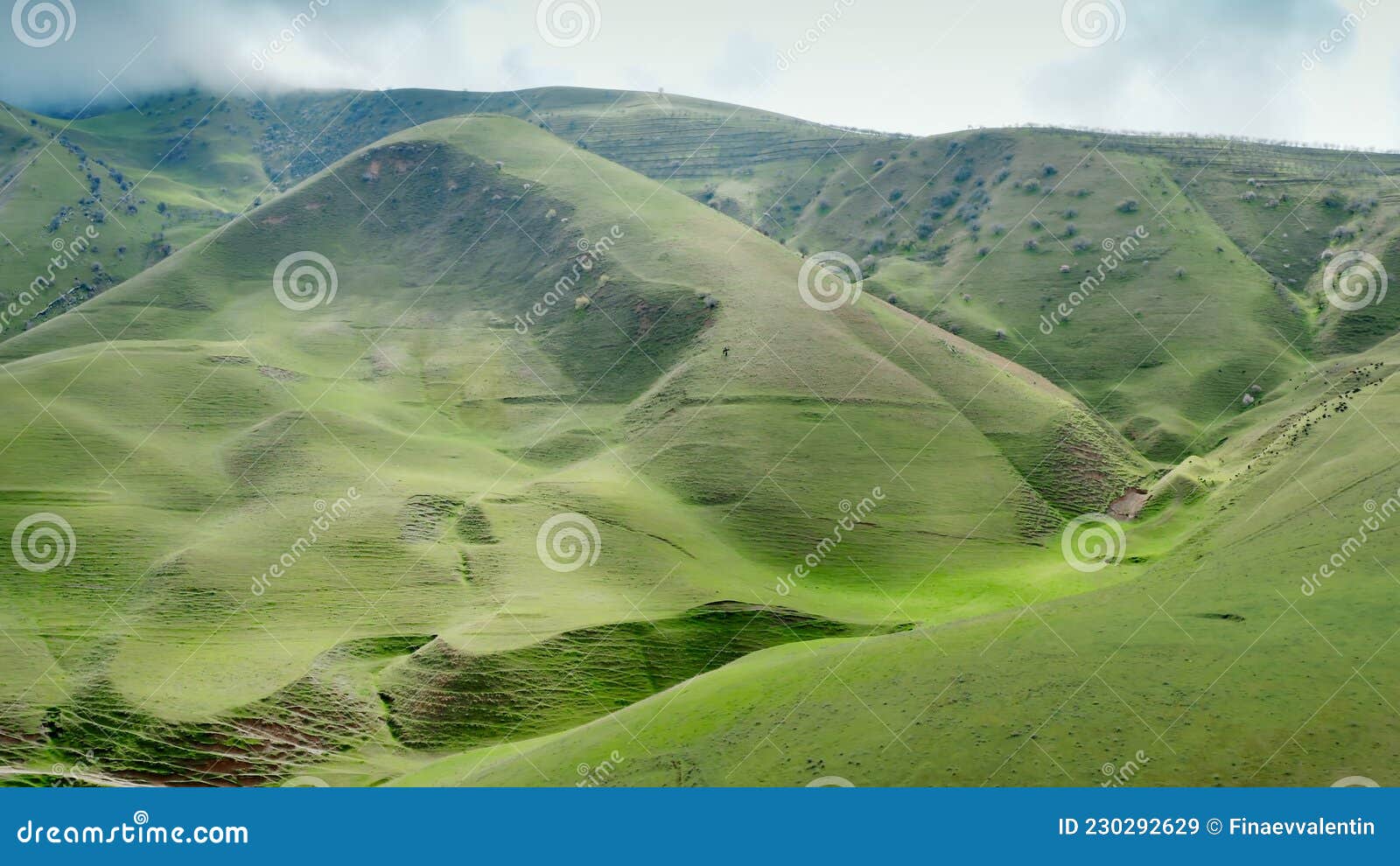 An Aerial Landscape With A Green Mountain Range On Which Small Animals