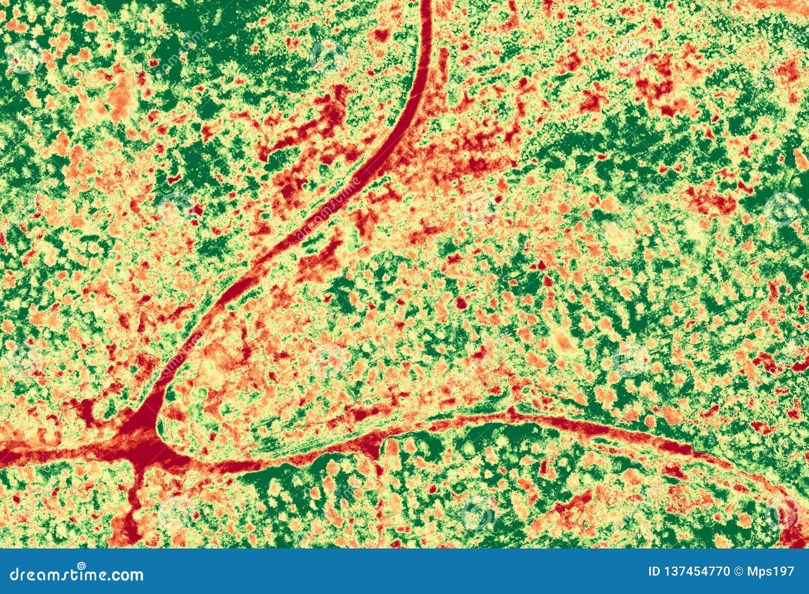 aerial ndvi image of forest with small roads