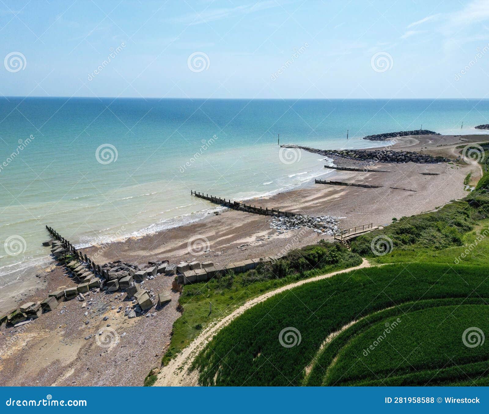 Grassy Shoreline Background