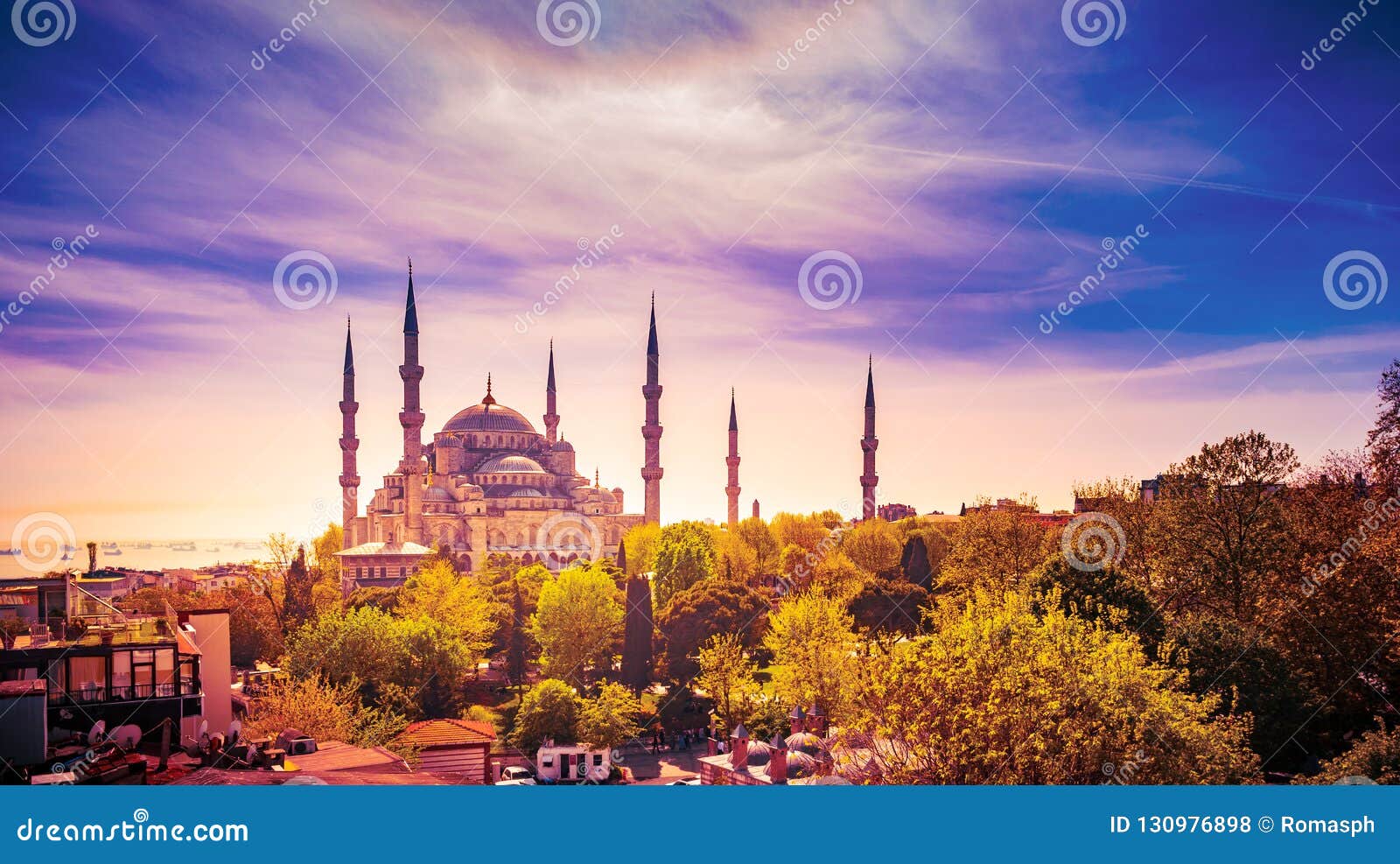 aerial shot of blue mosque surrounded by trees in istanbul`s old city - sultanahmet, istanbul, turkey