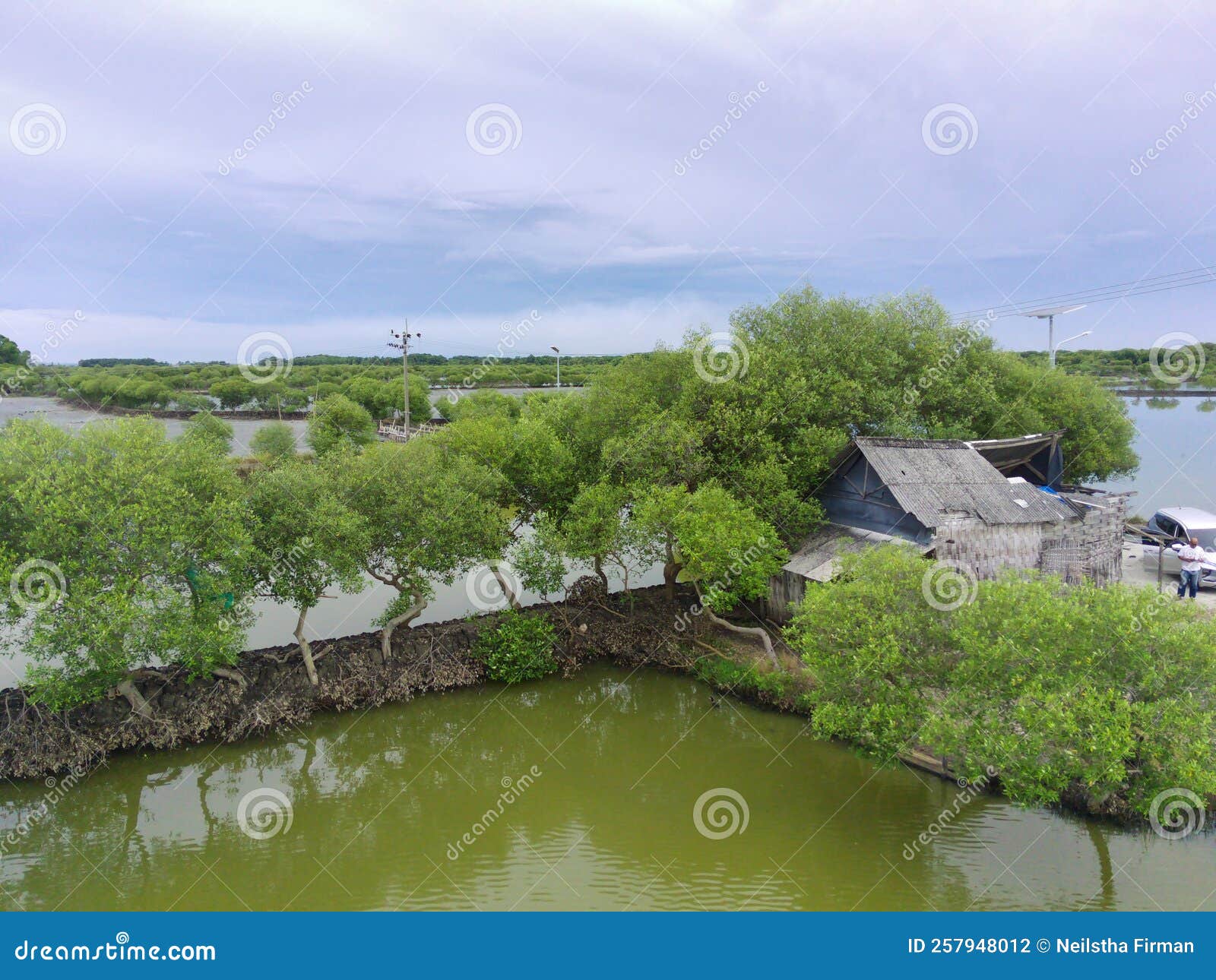 mangrove ponds in mengare gresik east java indonesia