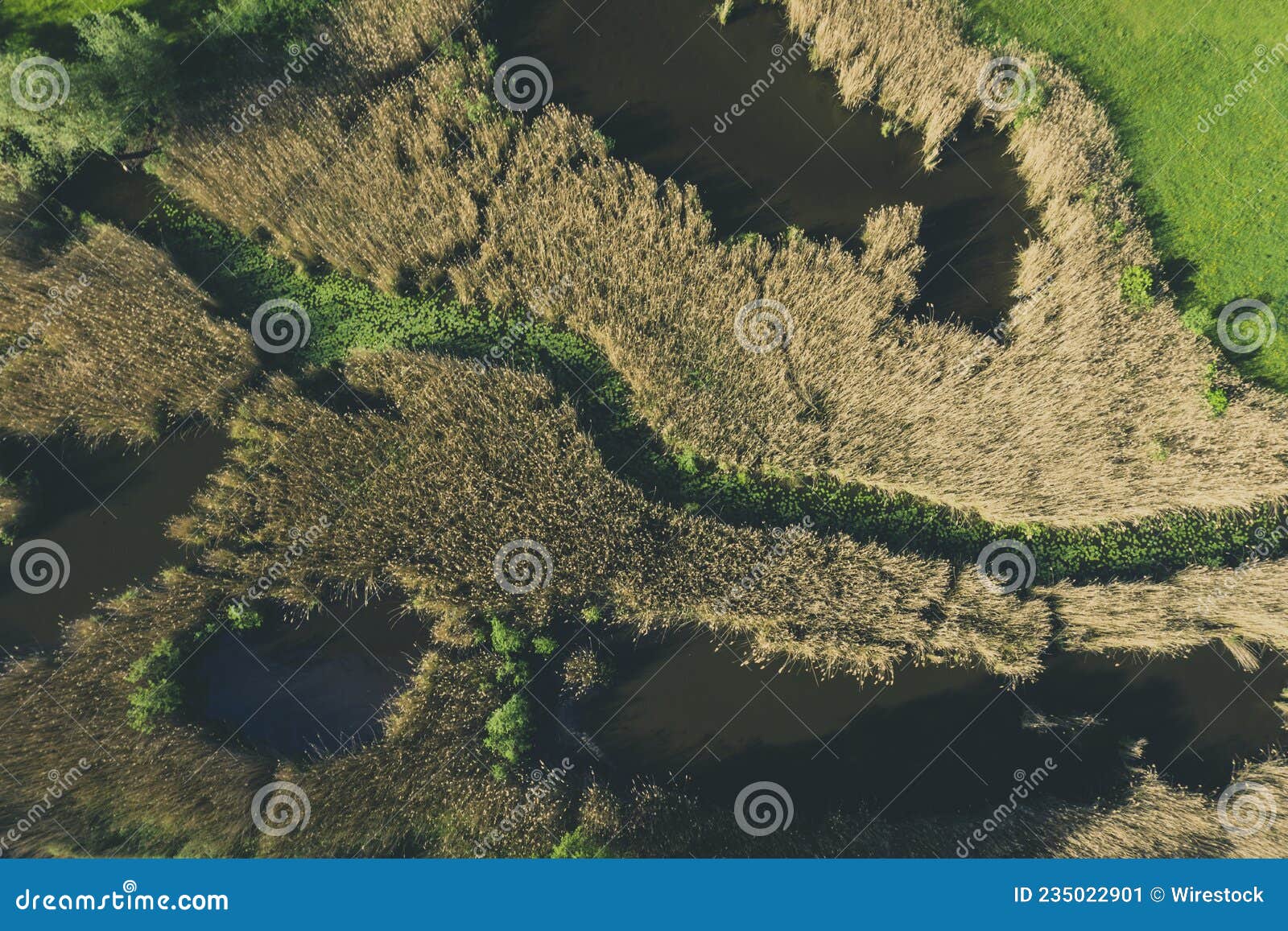 Aerial Shot of a Muddy River Surrounded by Green Grass Fields Stock