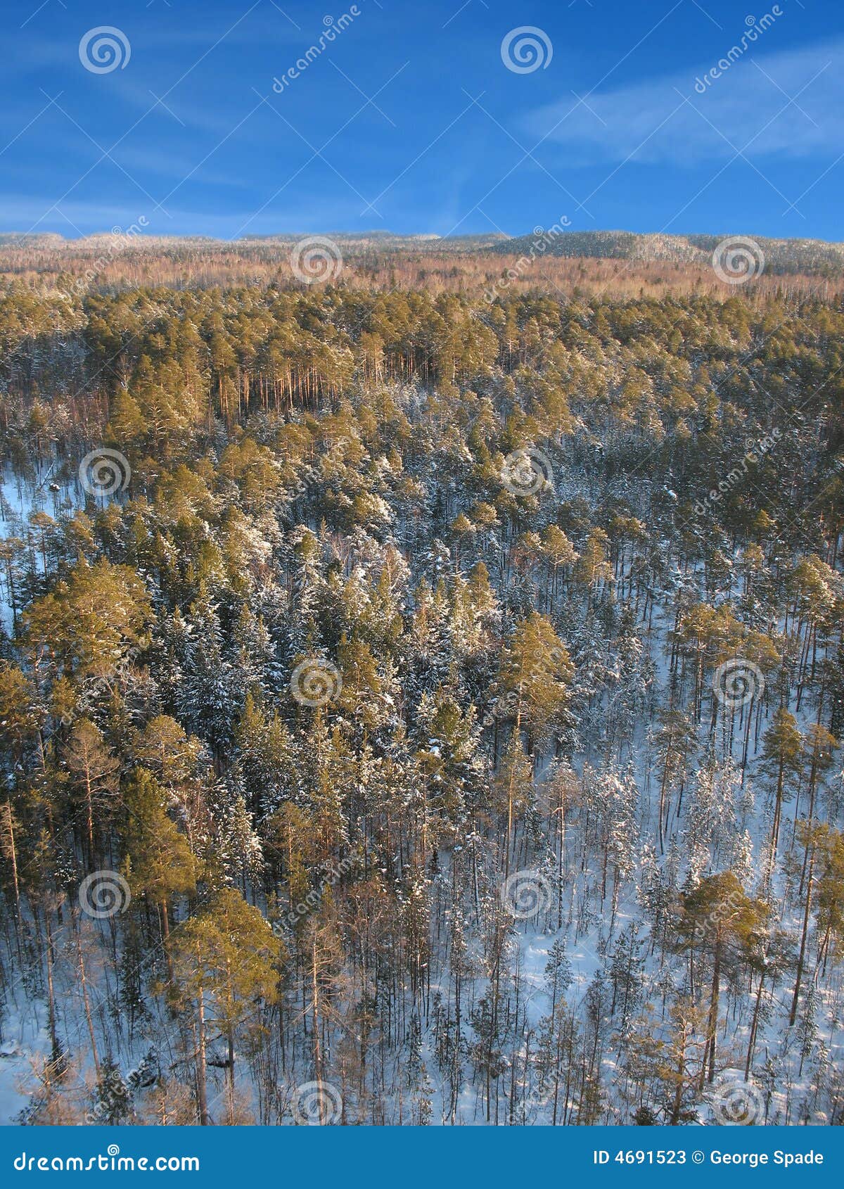 1,993 Taiga Forest Air View Stock Photos - Free & Royalty 1,993 Taiga Forest Air View Stock Photos - Free & Royalty