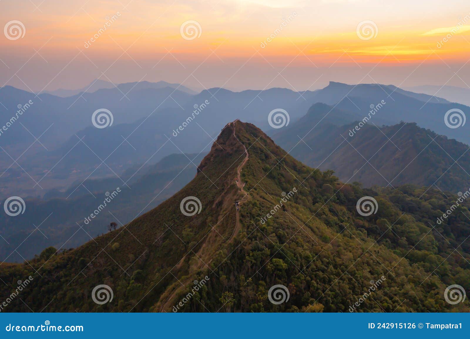 Aerial Top View of Forest Trees and Green Mountain Hills with Fog, Mist ...