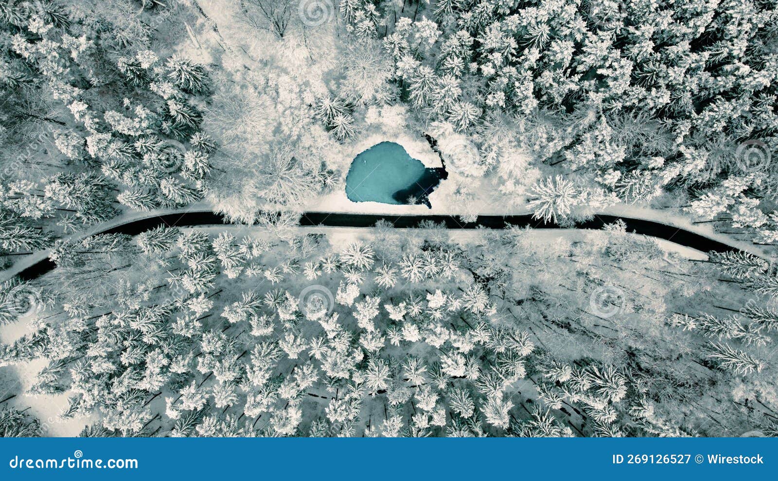 aerial top view of a road through a snowy winter forest in thruingia, germany