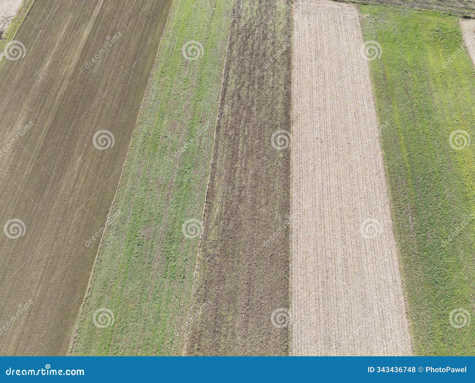 aerial view of agricultural fields with different crop patterns, showcasing vibrant greens and browns. ideal for agricul