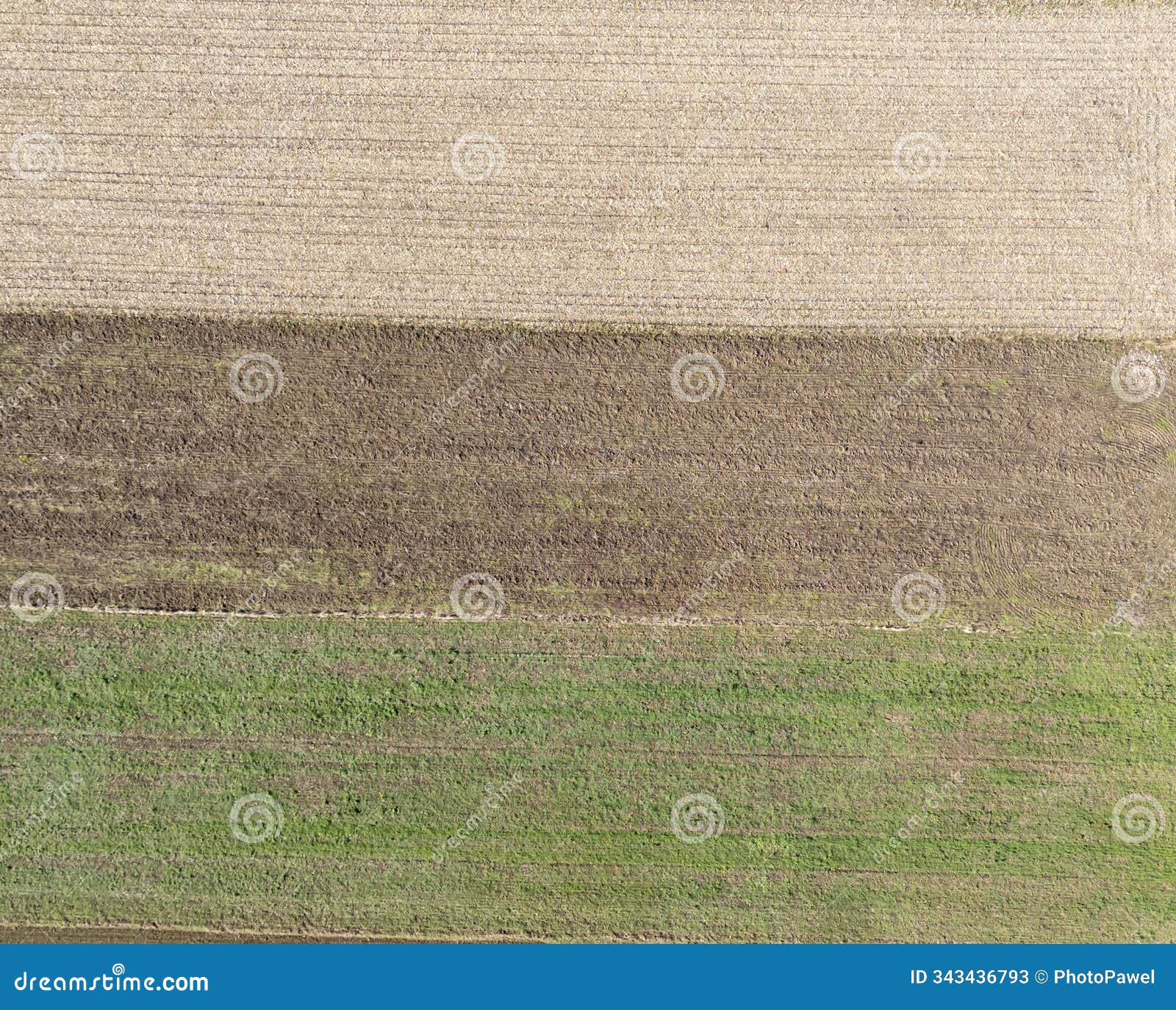 aerial view of agricultural fields showcasing various soil textures and crop growth patterns. ideal for nature and farmi