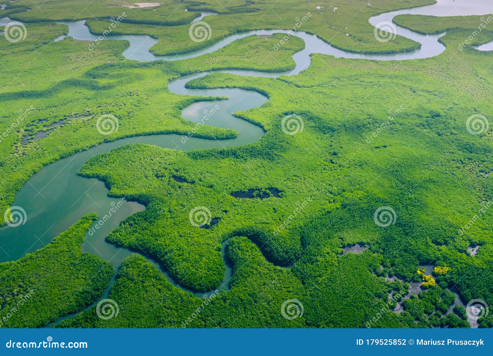 aerial view of amazon rainforest in brazil, south america. green forest. bird`s-eye view