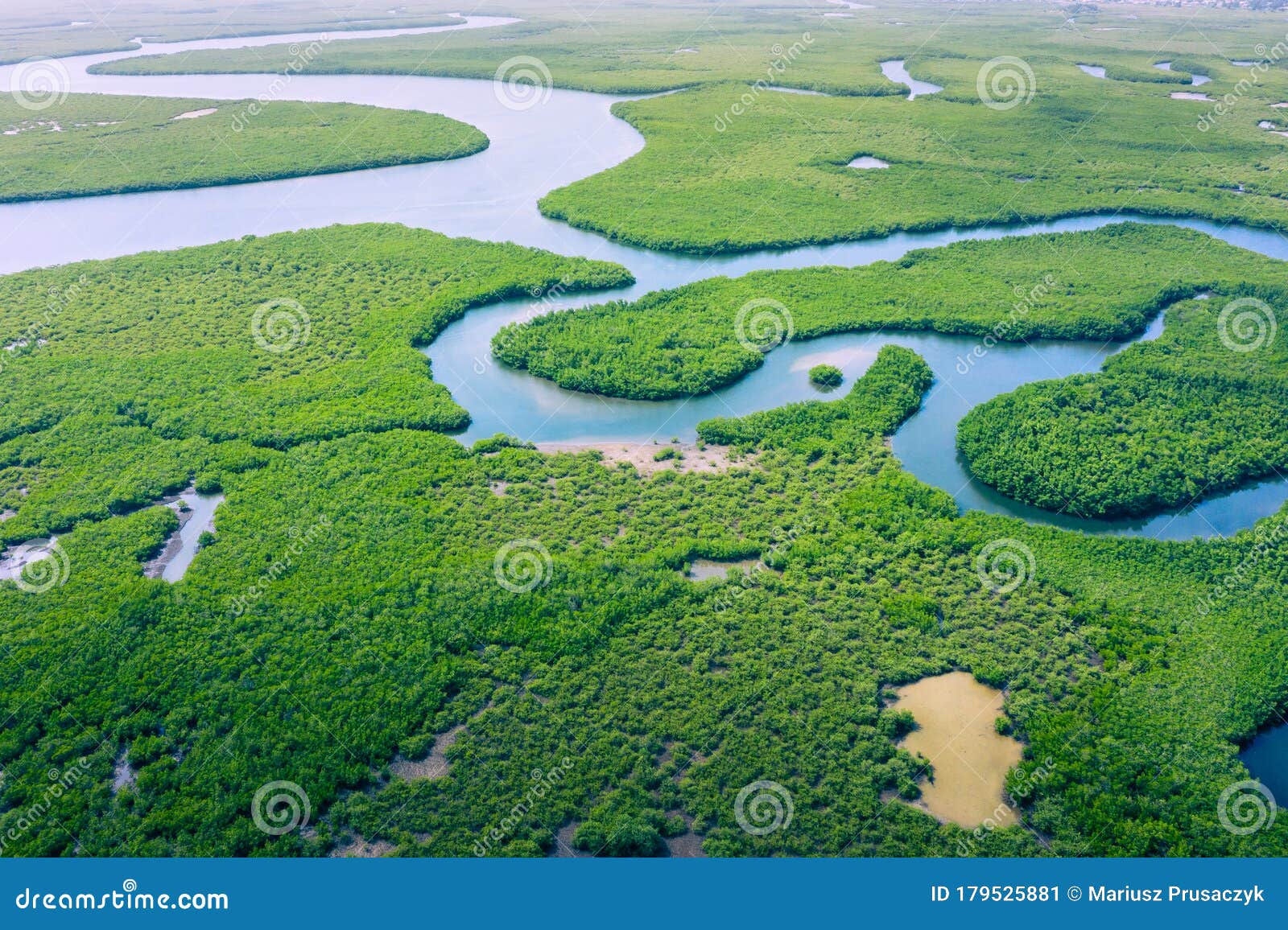 aerial view of amazon rainforest in brazil, south america. green forest. bird`s-eye view