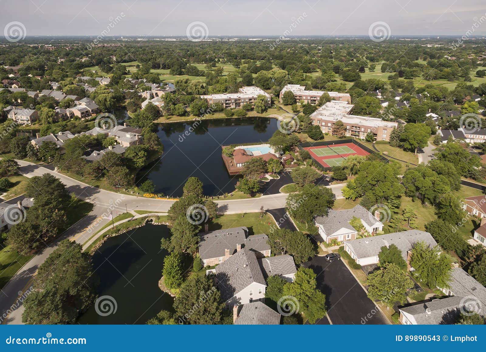 Aerial View of Ancient Tree in Northbrook, IL Stock Image Image of
