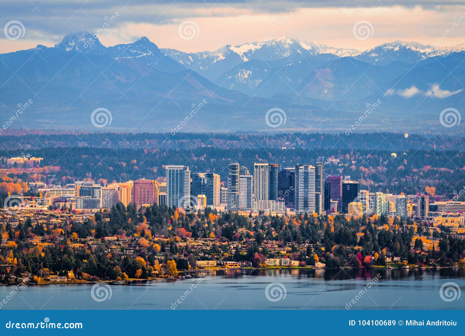 aerial view of bellevue washington