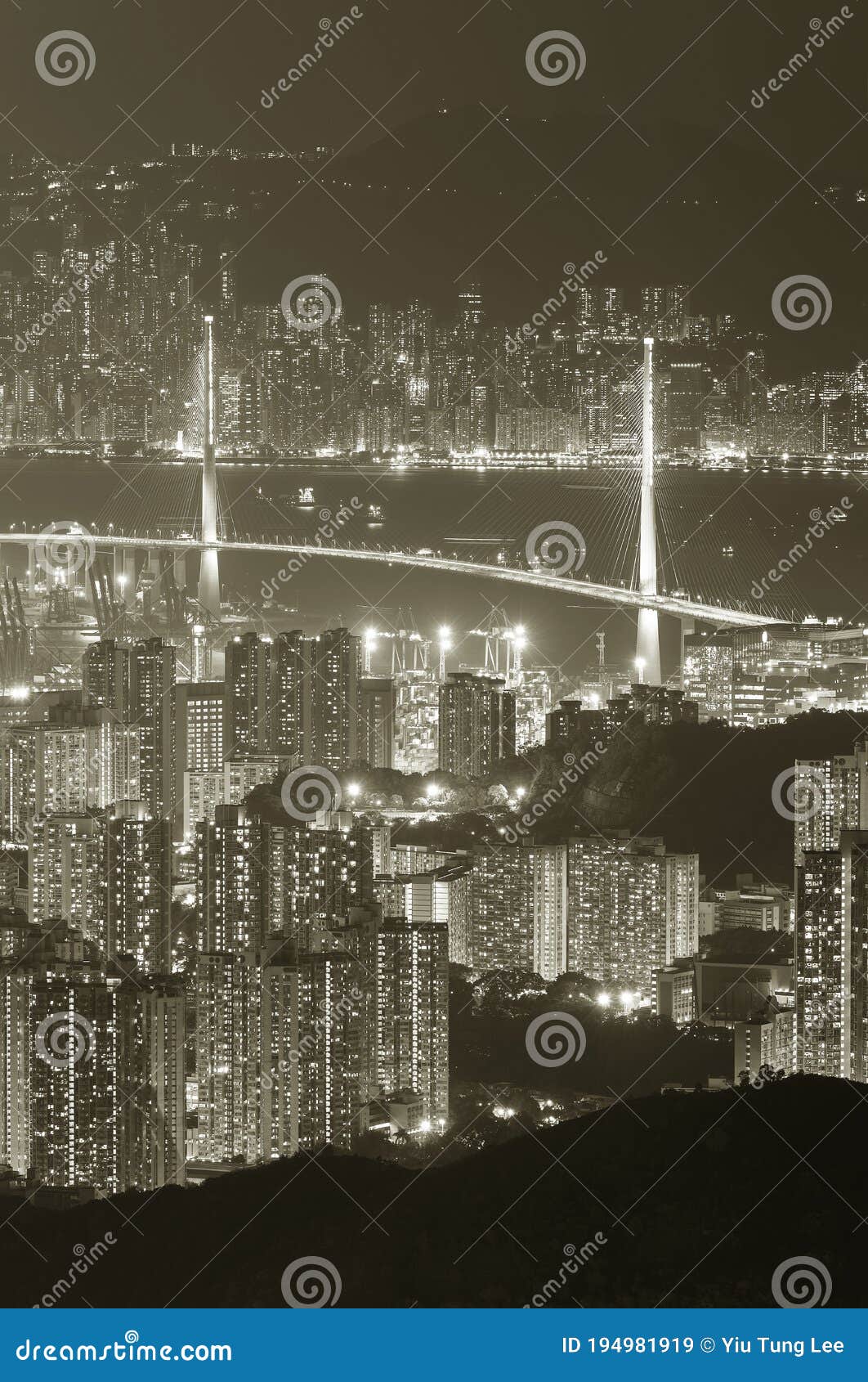 aerial view of bridge and dowtown of hong kong city