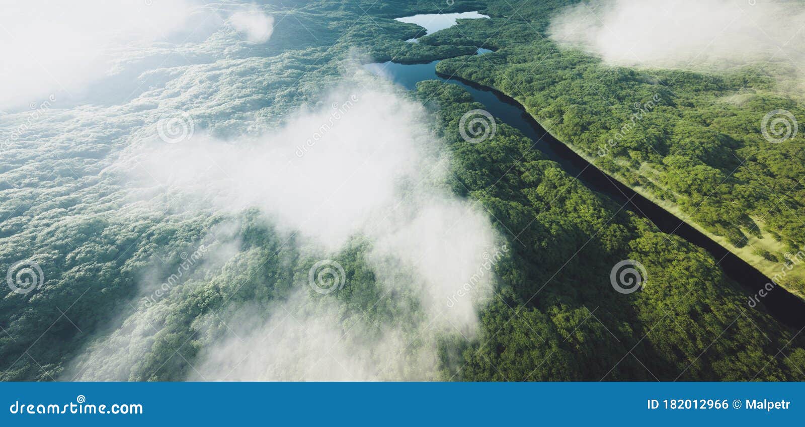 aerial view of a dense amazonian rainforest with river.