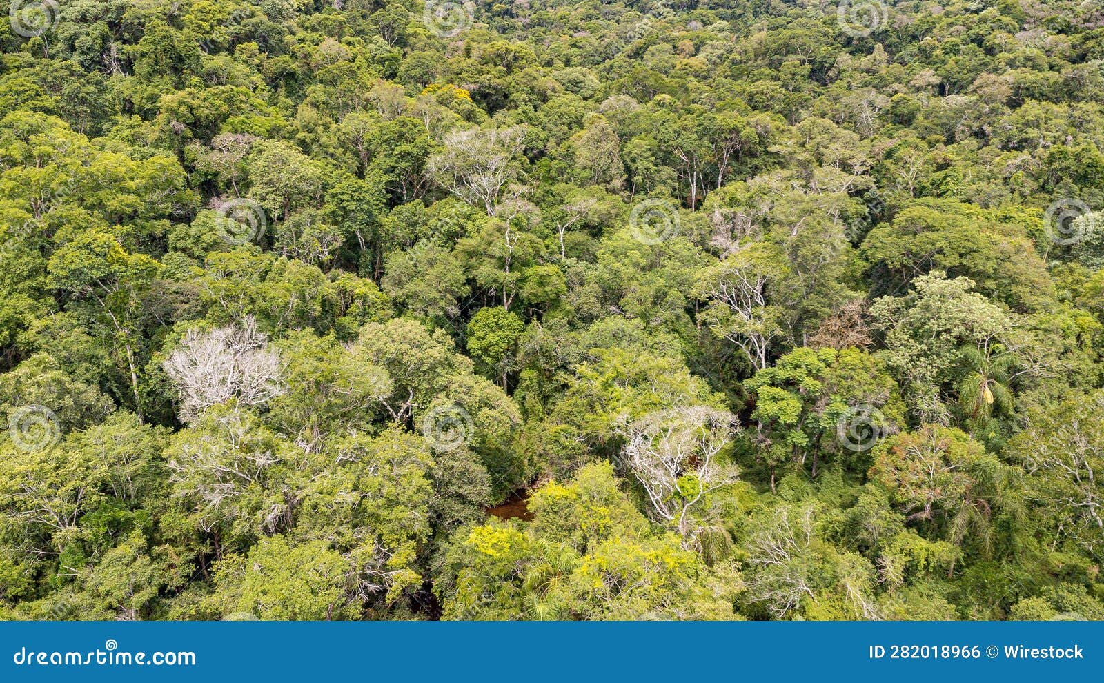 aerial view of dense green forests in salto encantado provincial park, argentina