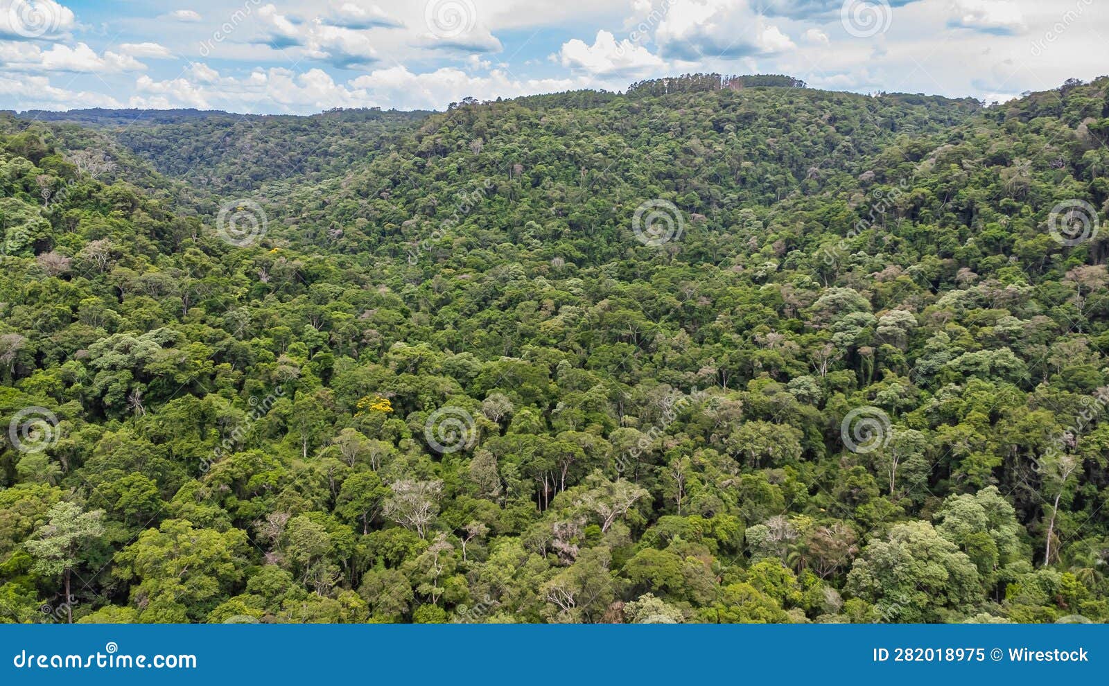 aerial view of dense green forests in salto encantado provincial park, argentina
