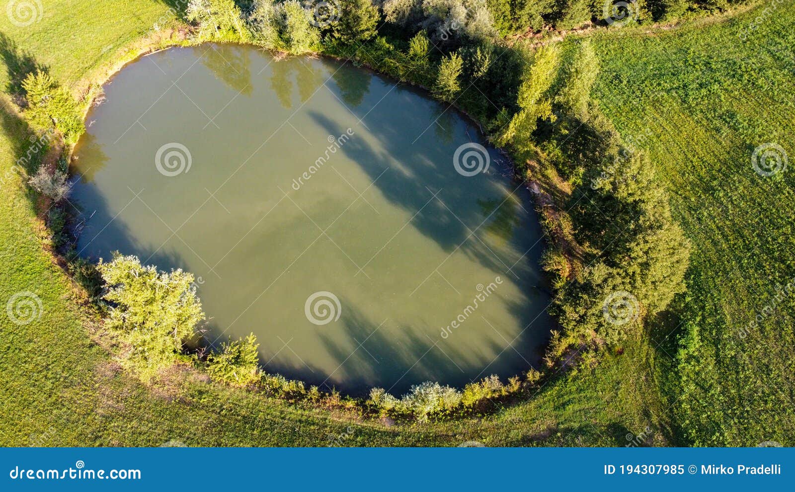 aerial view of a little lake and trees surrounding, in italian appennini hills