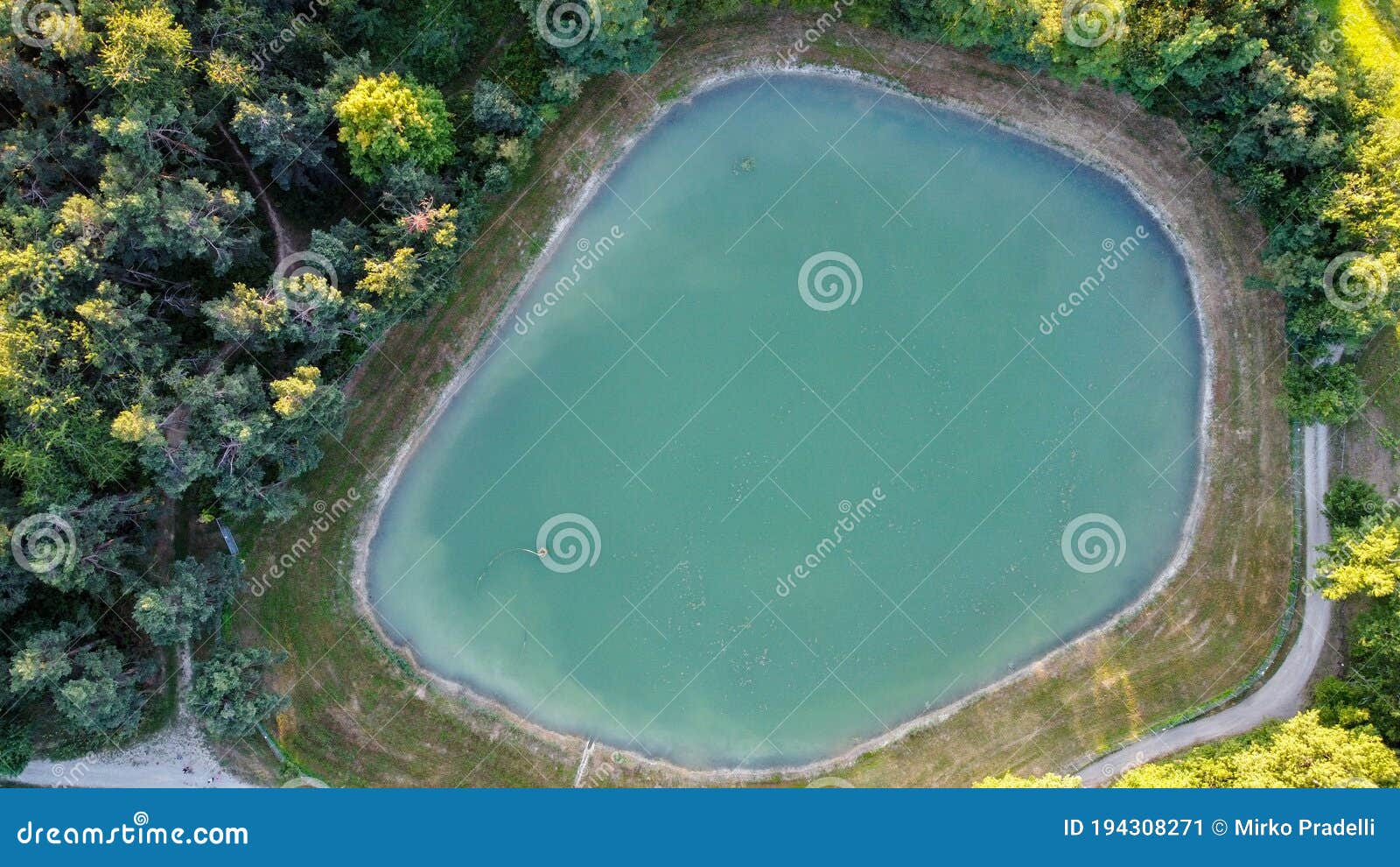 aerial view of a little lake and trees surrounding, in italian appennini hills