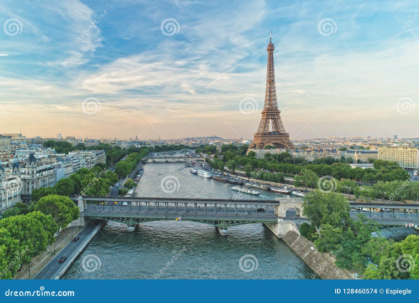 aerial view of eiffel tower and pont de bir-hakeim
