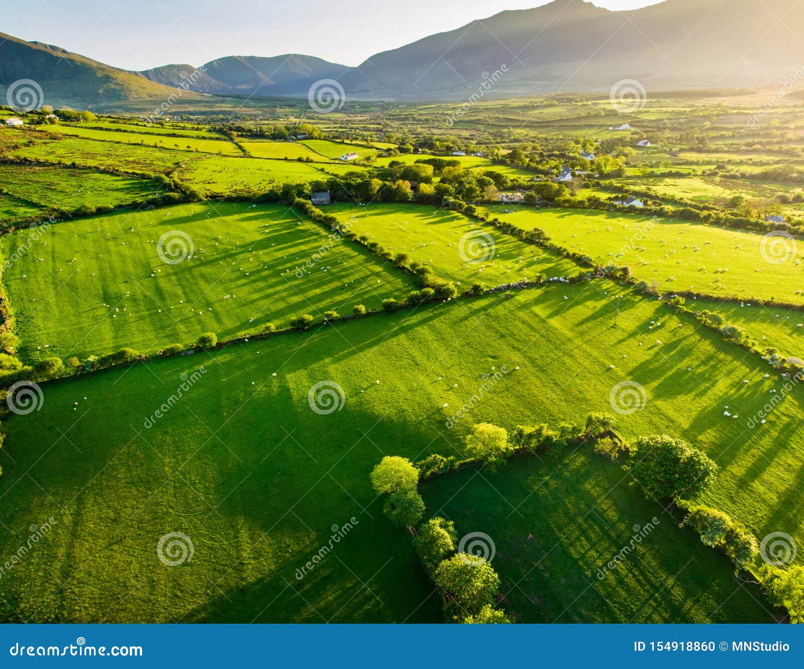 aerial view of endless lush pastures and farmlands of ireland. beautiful irish countryside with green fields and meadows. rural