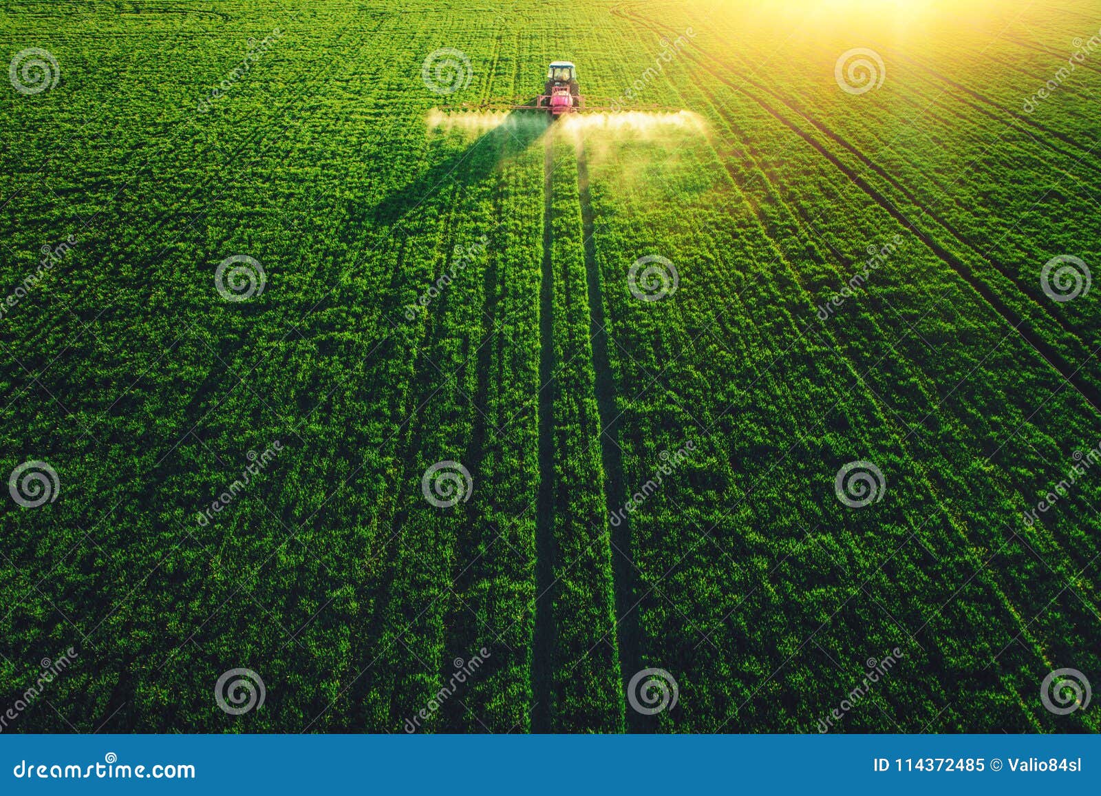 aerial view of farming tractor plowing and spraying on field