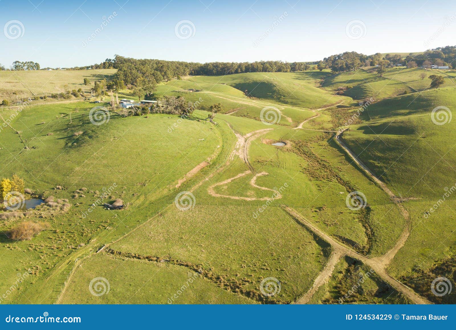 aerial view of farmland in south gippsland