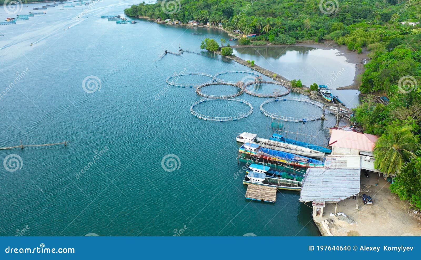 Milkfish Farm Stock Photos - Free & Royalty-Free Stock Photos from  Dreamstime