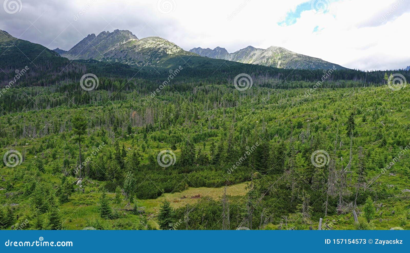 aerial view of forest under high tatras mountains recovering after disastrous windstorm
