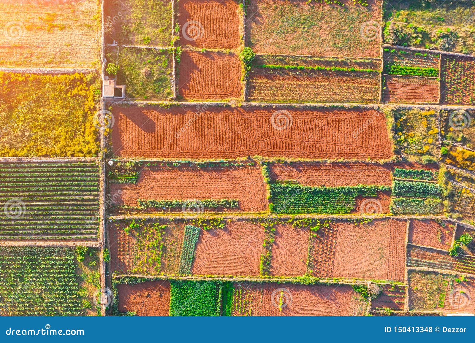 aerial view geometric s of agricultural parcels of different crops in green, brown, orange colors