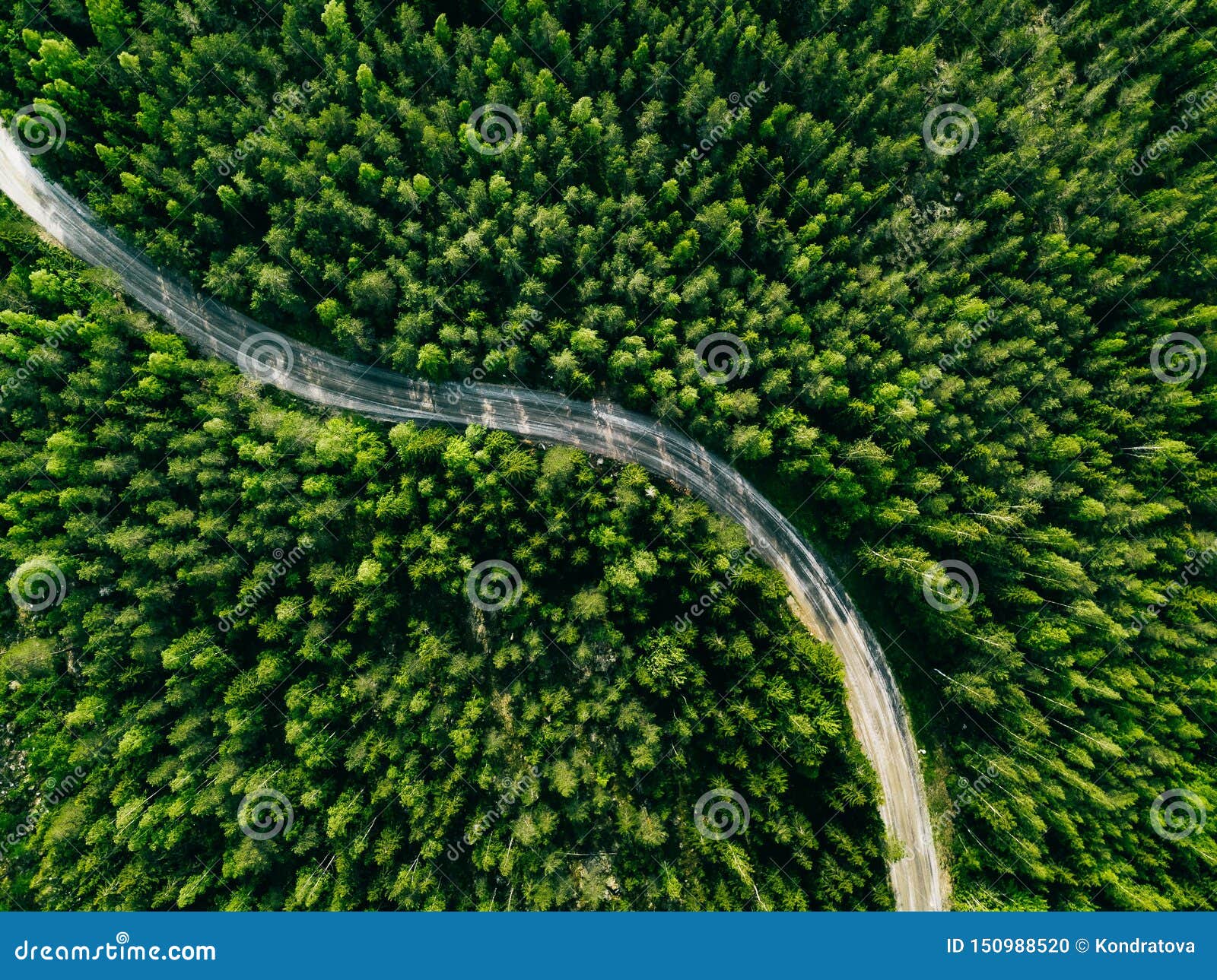 Aerial View Of Green Forest Road Curved Road From Above Stock Photo