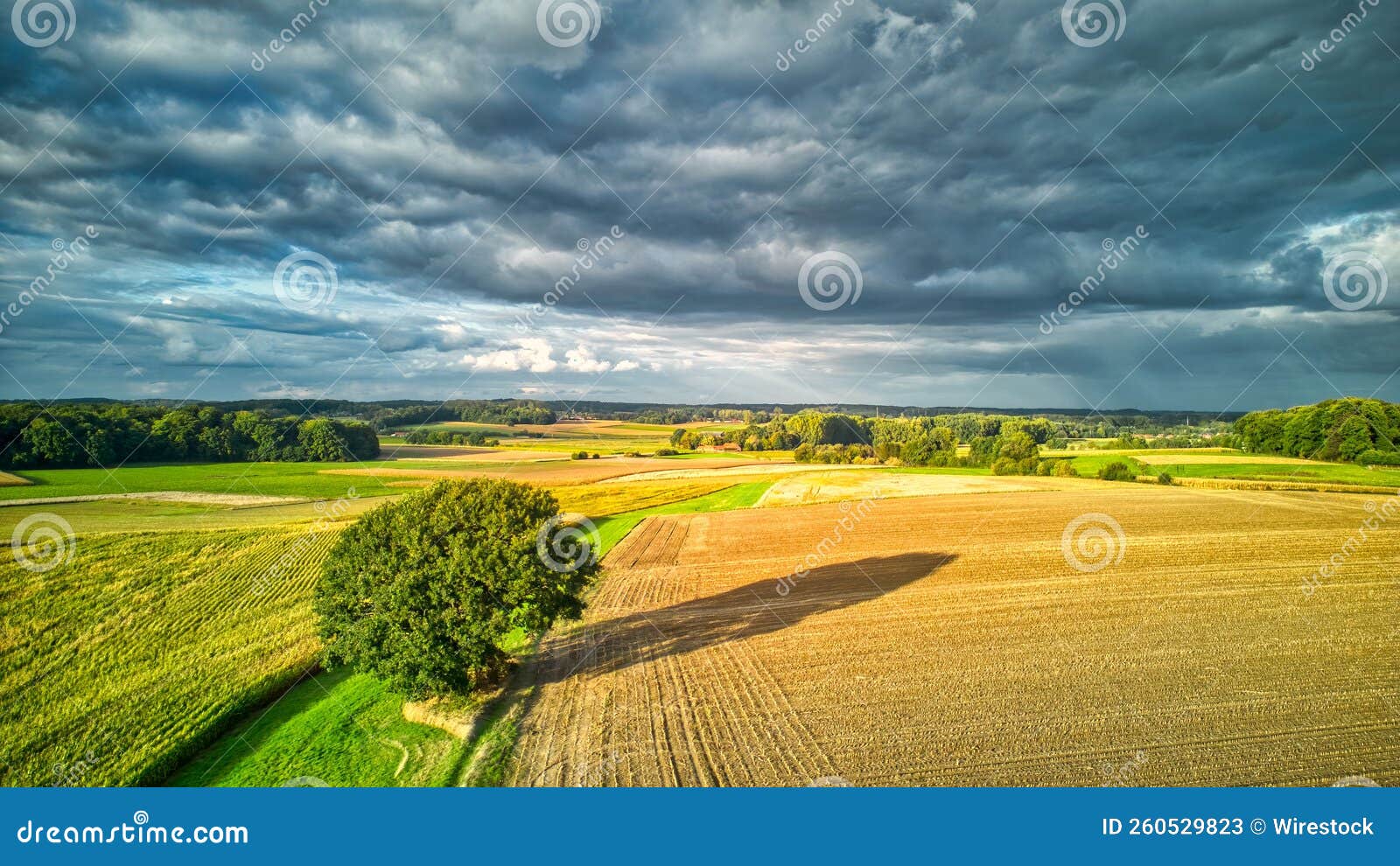 Aerial View Of Greenery Field Surrounded By Dense Trees Stock Image