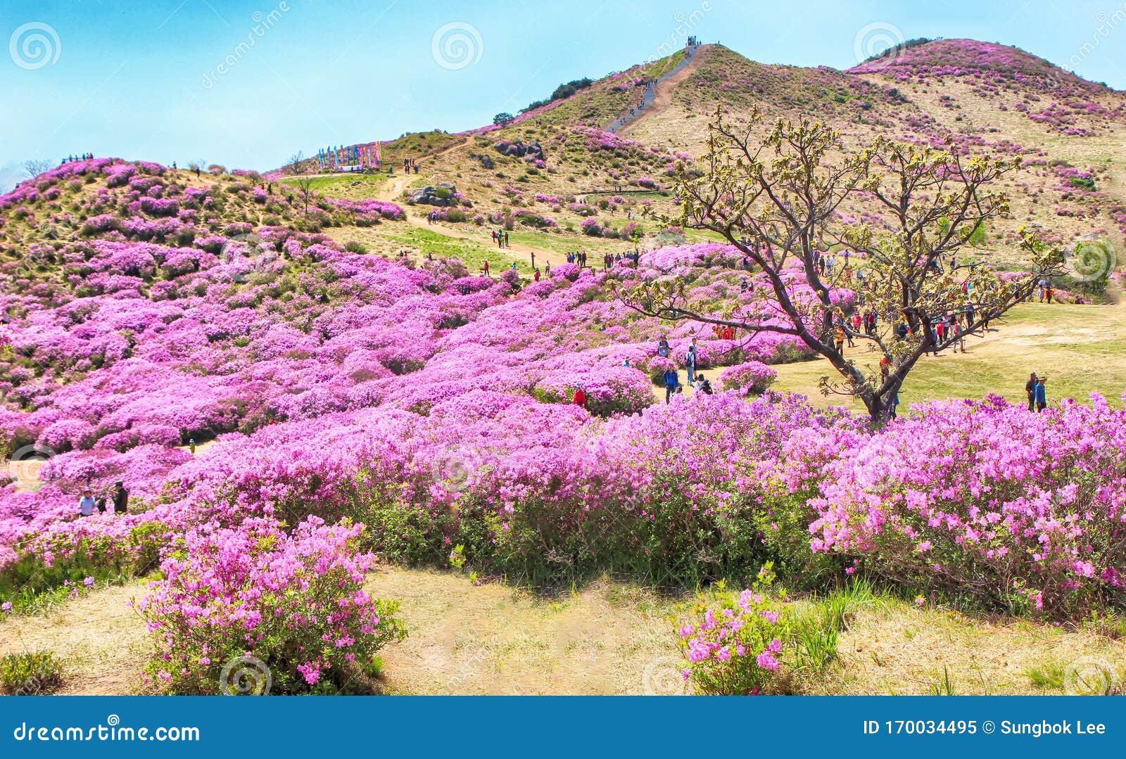 aerial view of hwangmaesan mountain, hapcheon, gyeongnam, south korea, asia