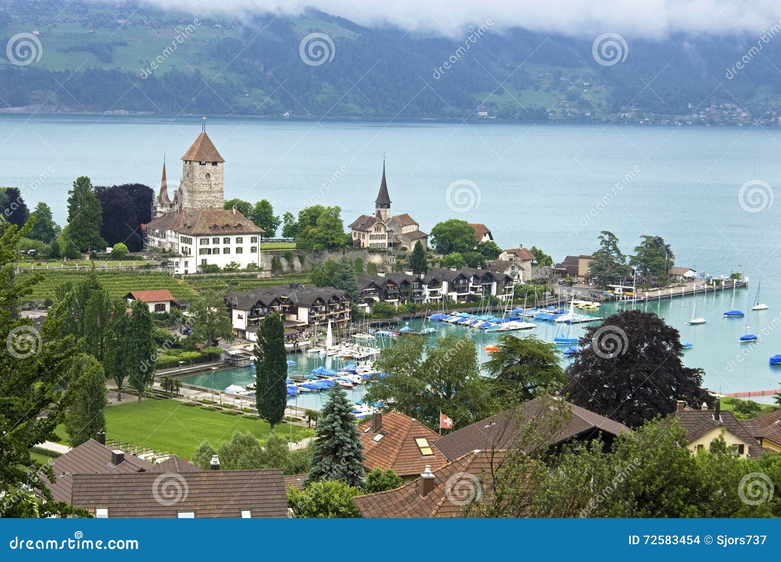 aerial view of lake thun with marina and swiss alps