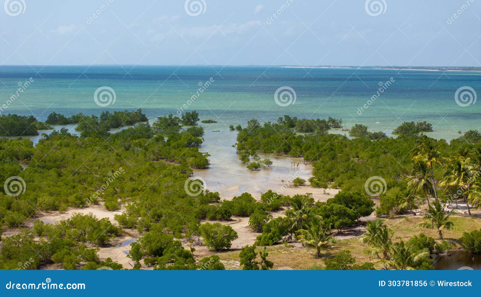 aerial view of mangroove in palma district in cabo delgado, mozambique