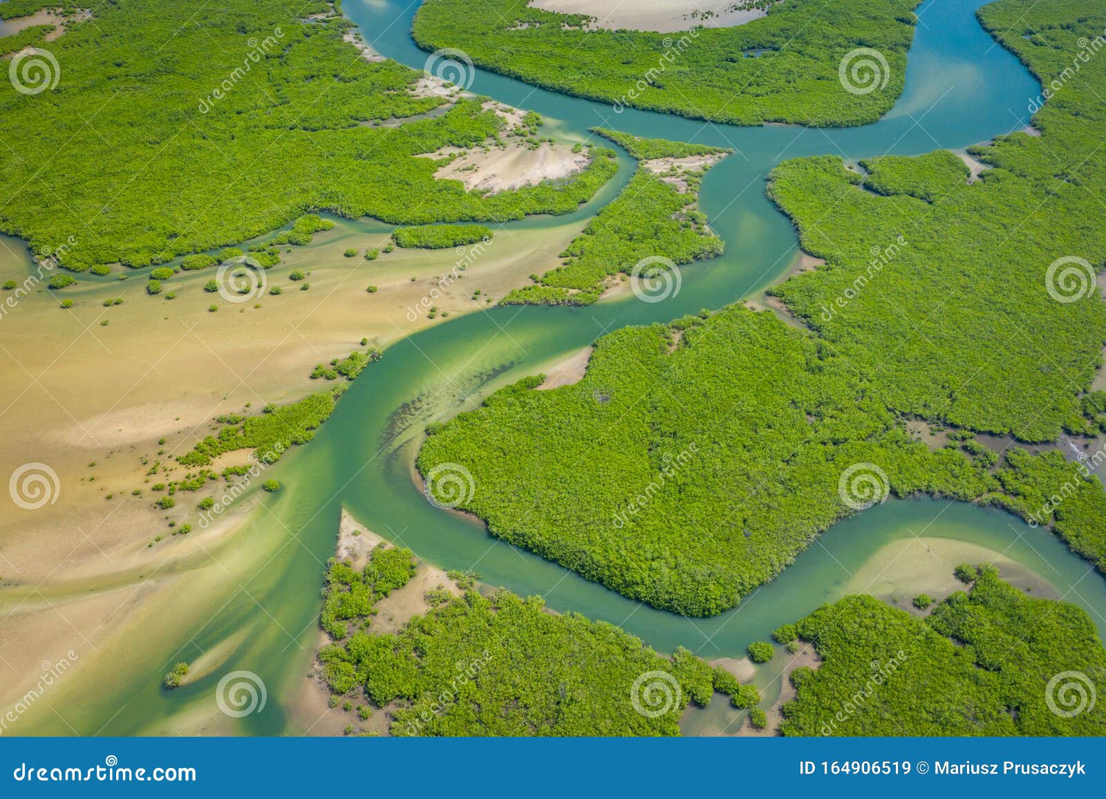 aerial view of mangrove forest in the  saloum delta national park, joal fadiout, senegal. photo made by drone from above. africa