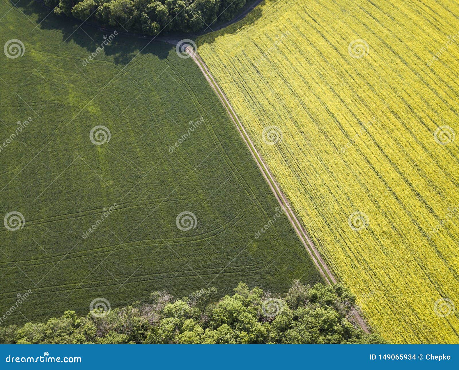 Aerial View of Mustard Terraces Fields on Springtime Stock Photo