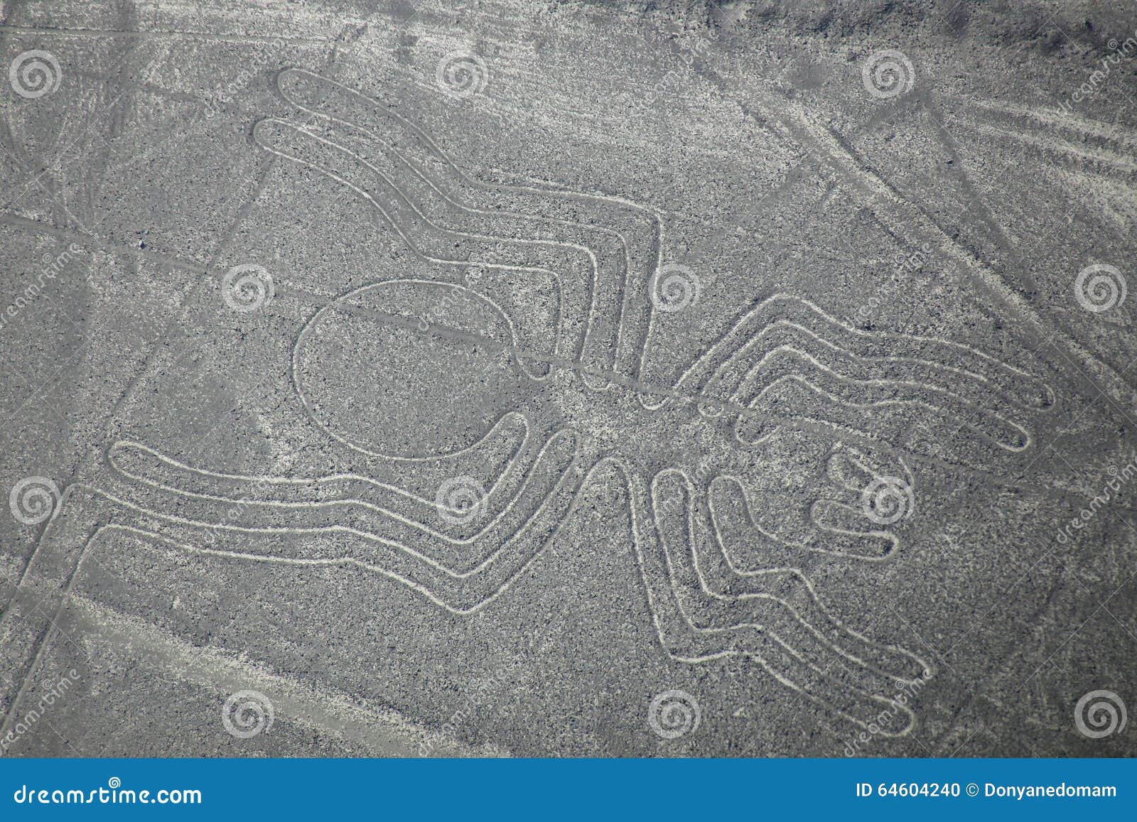 aerial view of nazca lines - spider geoglyph, peru.