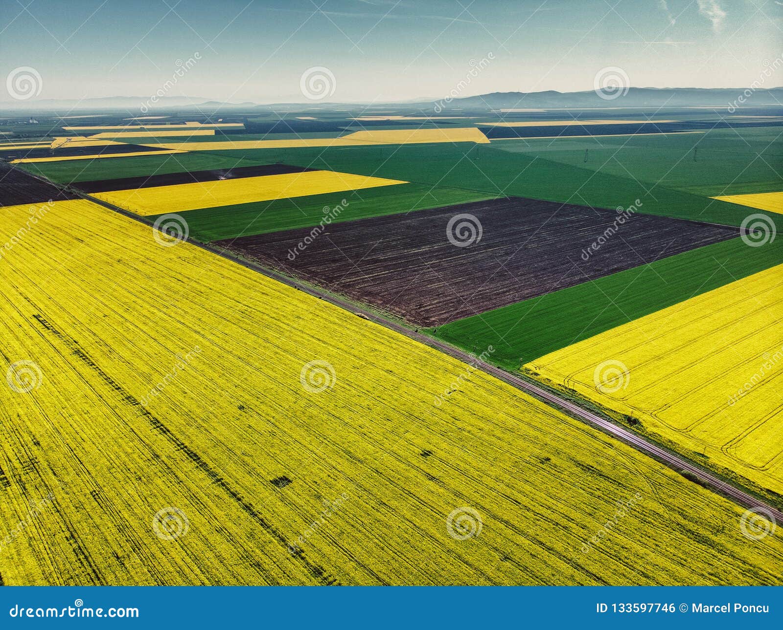 Aerial View of Oilseed Field Ready for Harvester Stock Photo - Image of ...