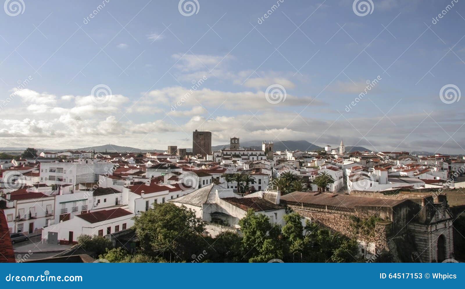 aerial view of olivenza town, spain