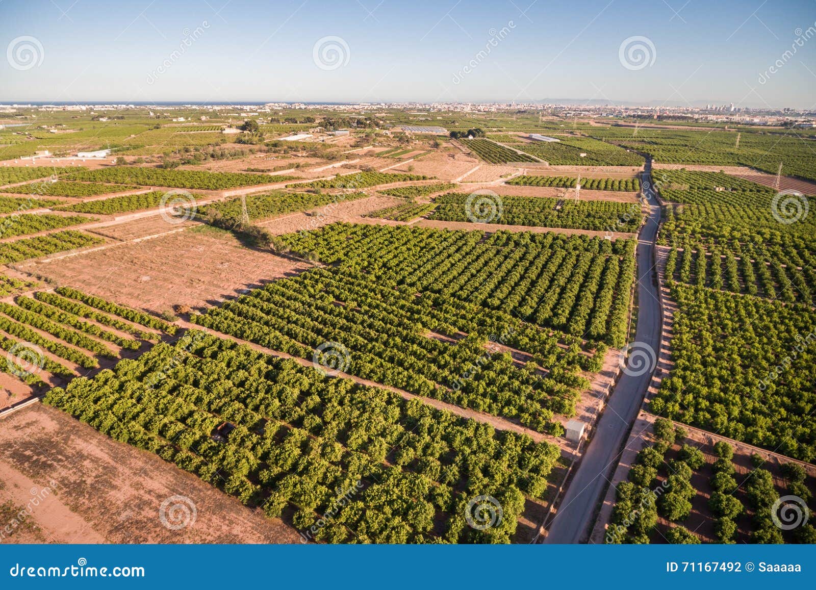 Peach Fields at Dusk in Valencia Stock Photo - Image of peach, dusk:  85053338