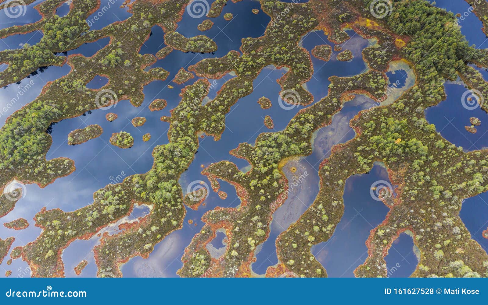 aerial view over bog lake complex wetland landscape