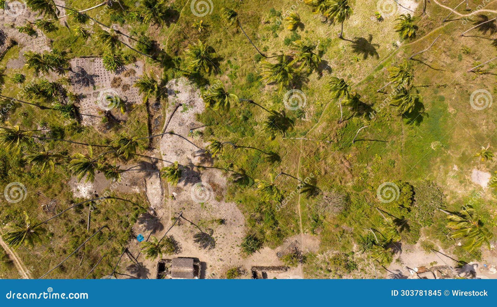 aerial view of palma district in cabo delgado, mozambique