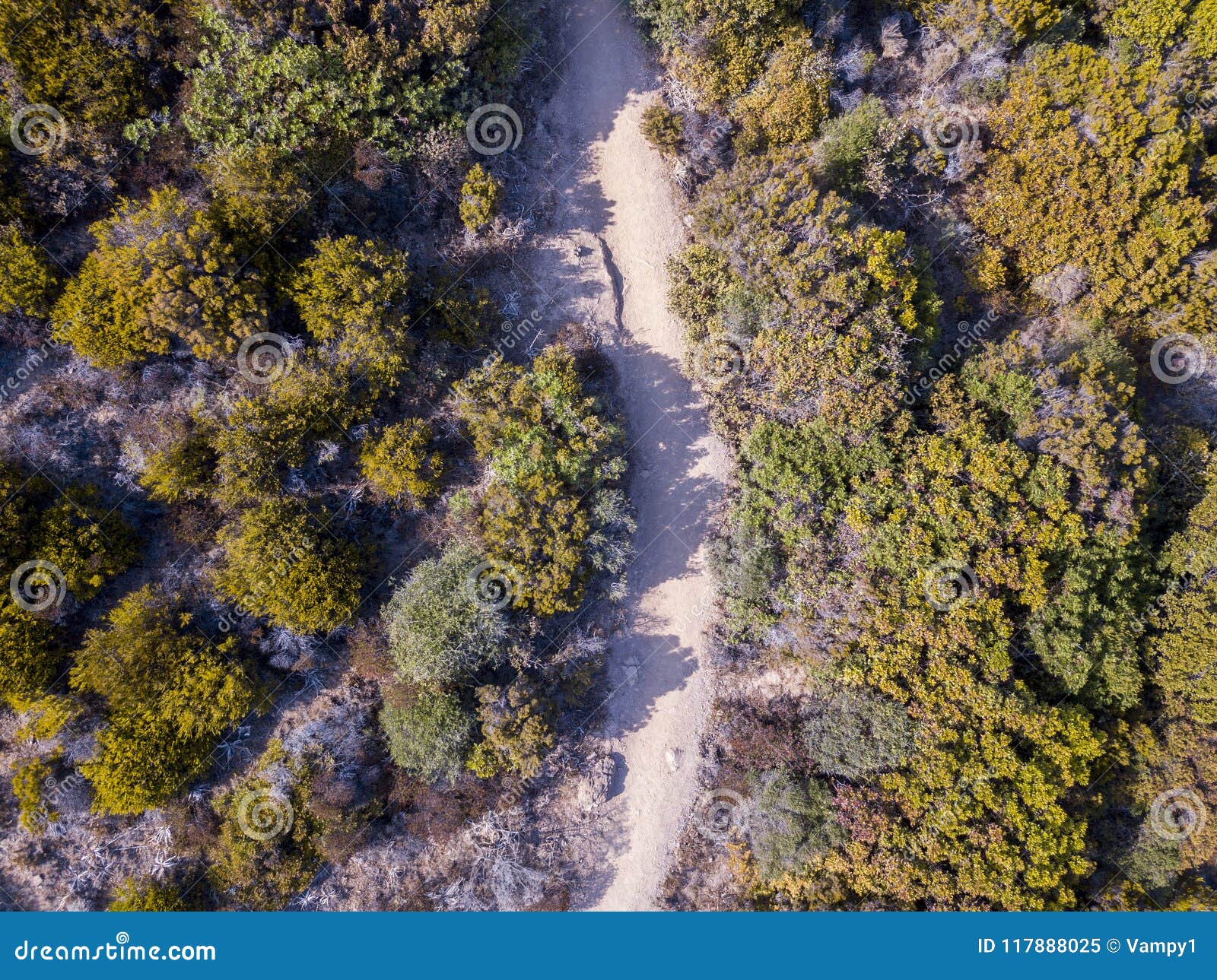 aerial view of the path of customs officers, vegetation and mediterranean bush, corsica, france. sentier du douanier